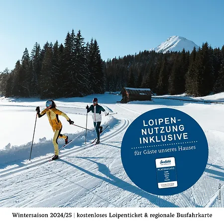 Andys Bergjuwel 公寓 *