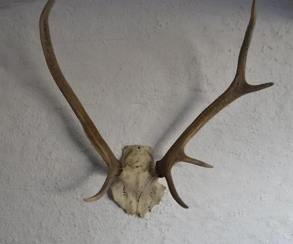 Appartement Andys Bergjuwel *